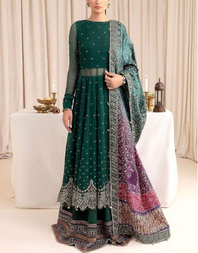 Luxurious Handwork Embroidered Chiffon B